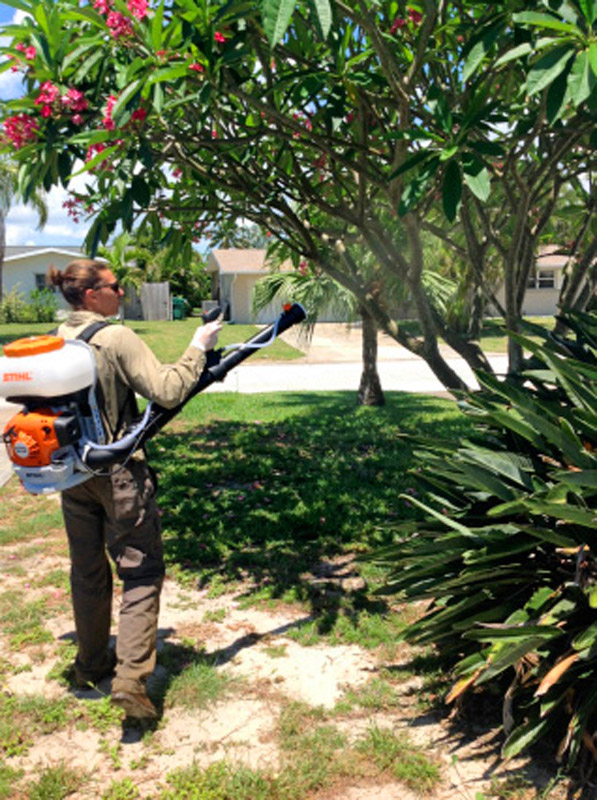 Extermination Station treating trees for mosquitoes elimination